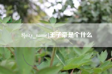 承德王子豪是个什么