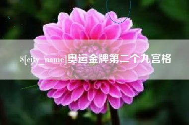 承德奥运金牌第二个九宫格