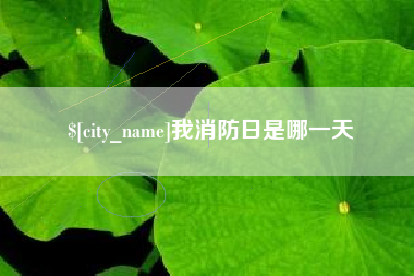 承德我消防日是哪一天