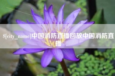 承德中国消防直播回放中国消防直播