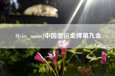 承德中国奥运金牌第九金