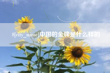 承德中国的金牌是什么样的