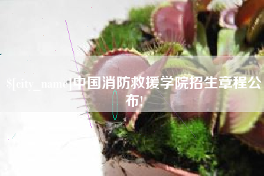 承德中国消防救援学院招生章程公布!