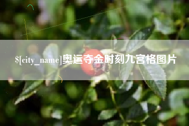承德奥运夺金时刻九宫格图片