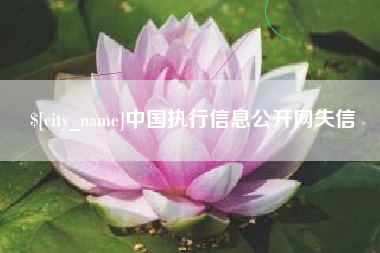 承德中国执行信息公开网失信