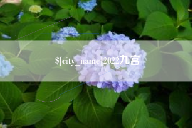 承德2022九宫