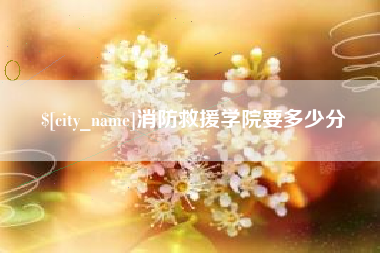承德消防救援学院要多少分