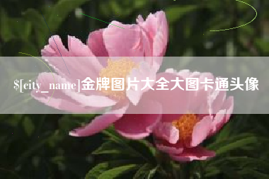 承德金牌图片大全大图卡通头像