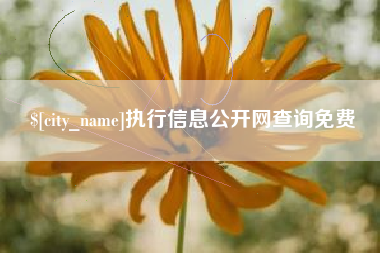 承德执行信息公开网查询免费