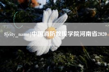 承德中国消防救援学院河南省2020